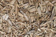 biomass boilers Yondover